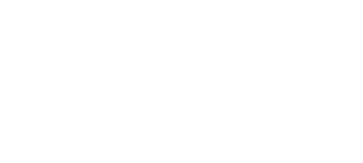Boletín Maya